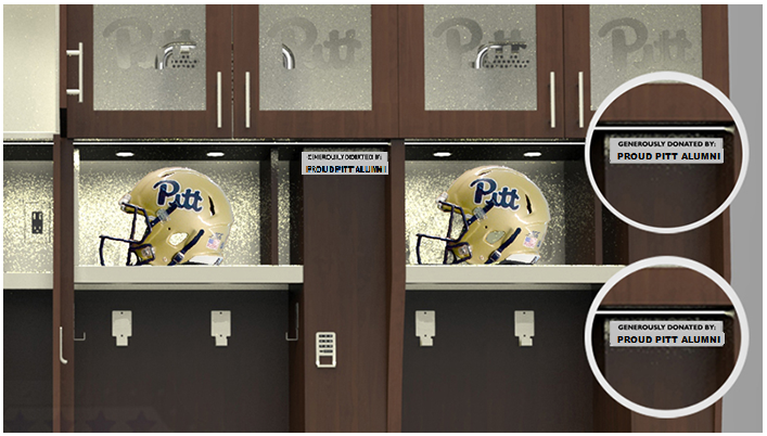 University Naming Rights Fundraising